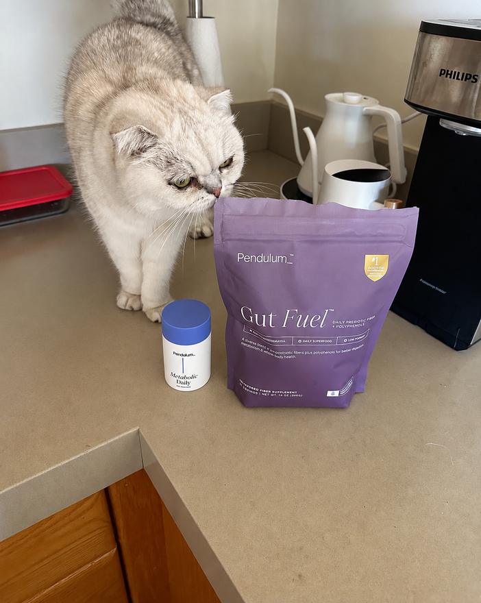 A cat inspecting Pendulum Gut Fuel and Metabolic Daily on a kitchen counter next to the coffee kettle